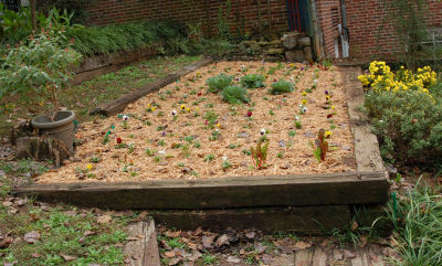 children's Garden